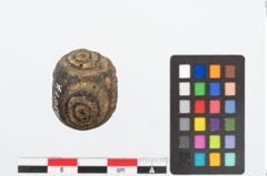 Foto von Glasaugenperle (NHMW-PRAE-025617)
